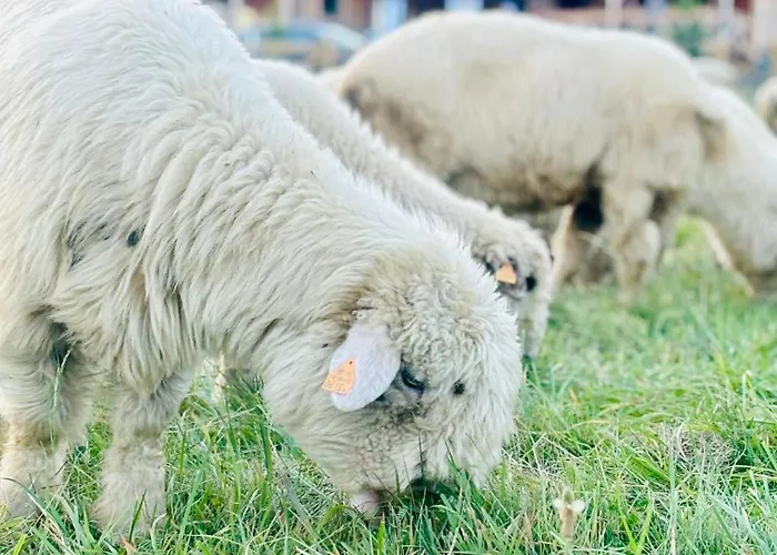 Osada Foltynowka Dağ evi Sablówka